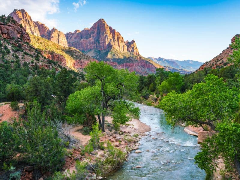 Virgin River flowing through Zion National Park with a backdrop of red cliffs and greenery.